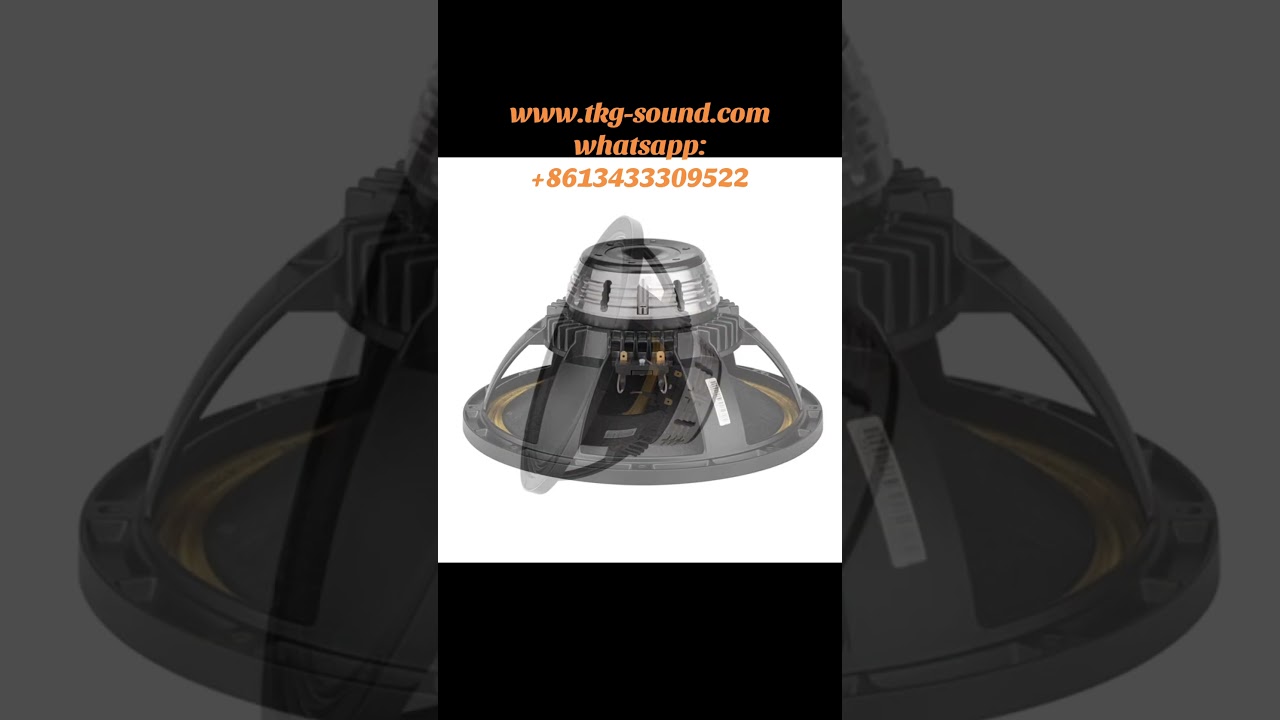 106508H  10 inch neodymium driver