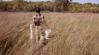Inclusive Excellence in Research and Creativity: Diversifying the Field of Ornithology