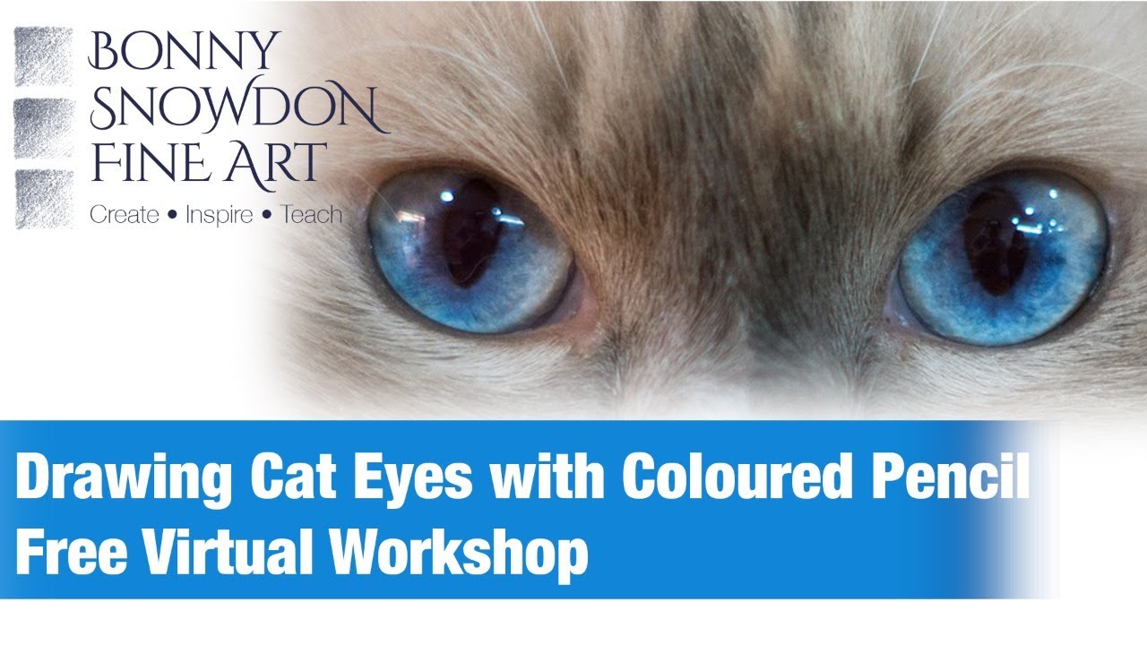 Free Virtual Workshop - Drawing Cat Eyes with Coloured Pencils
