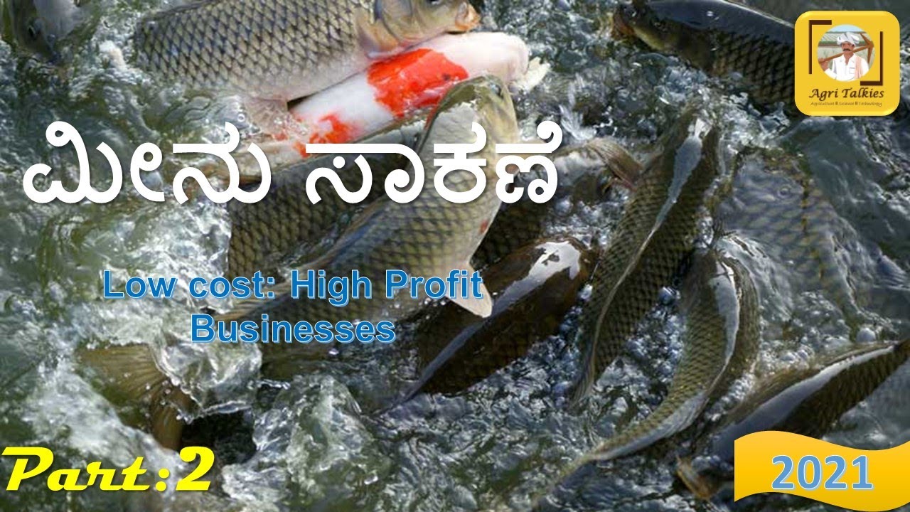ಮೀನು ಸಾಕಣೆ || Fish Farming in India || Part-2 || Low cost: High Profit Business || 2021 || FHD
