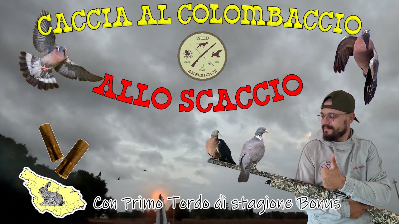 CACCIA al COLOMBACCIO allo SCACCIO NEI BOSCHI - con il primo TORDO DI STAGIONE *BONUS *  4K  HUNTING