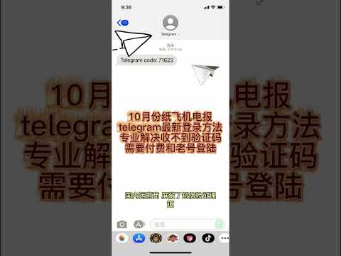 纸飞机 teiegramin.com