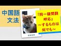 【中国語文法】初級・基本編☆『同一疑問詞呼応 』「~するものは何でも~」「~するものはどこでも~」