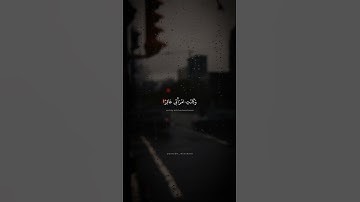 #تلاوات #تلاوة_خاشعة #تلاوة_هادئة #القرآن_الكريم #تجويد_القرآن #منشاوي #قران_كريم #تجويد_القرآن
