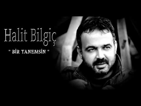 Halit Bilgiç '' Bir Tanemsin '' (Official Audıo)