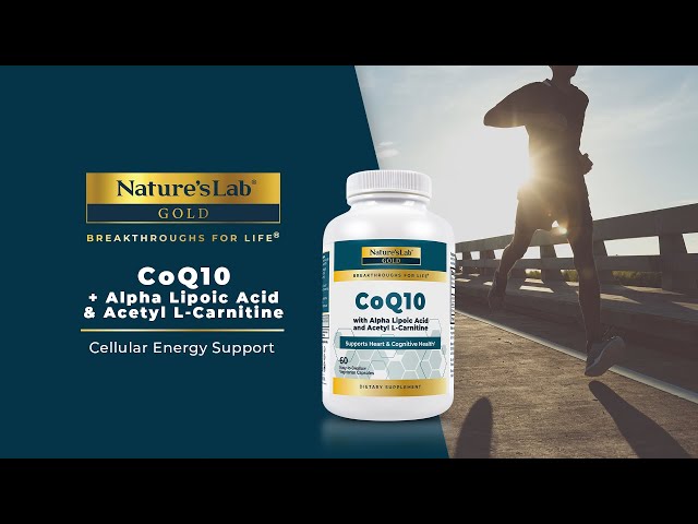 propionyl l carnitine benefits for men Healthvit N-Acetyl L-Carnitine, Alpha Lipoic Acid & Coq10 60 Capsules main image 1