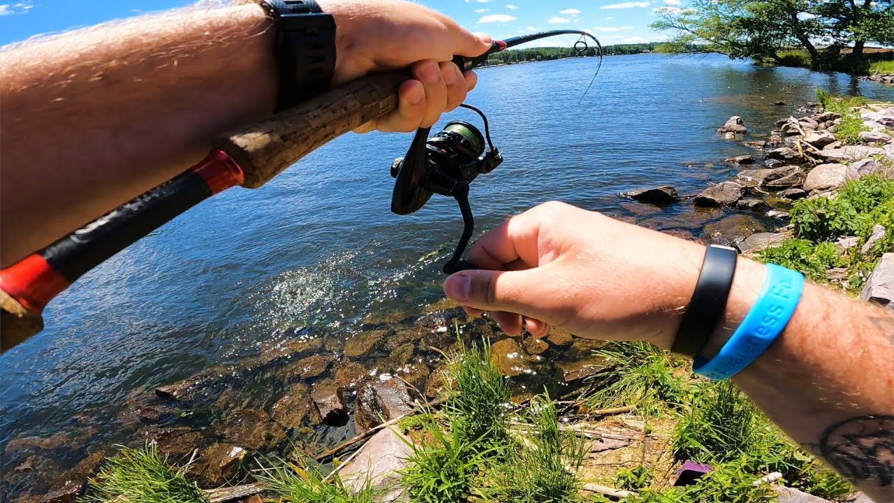Bass Fishing – Keitech Easy Shiner for Smallmouth Bass