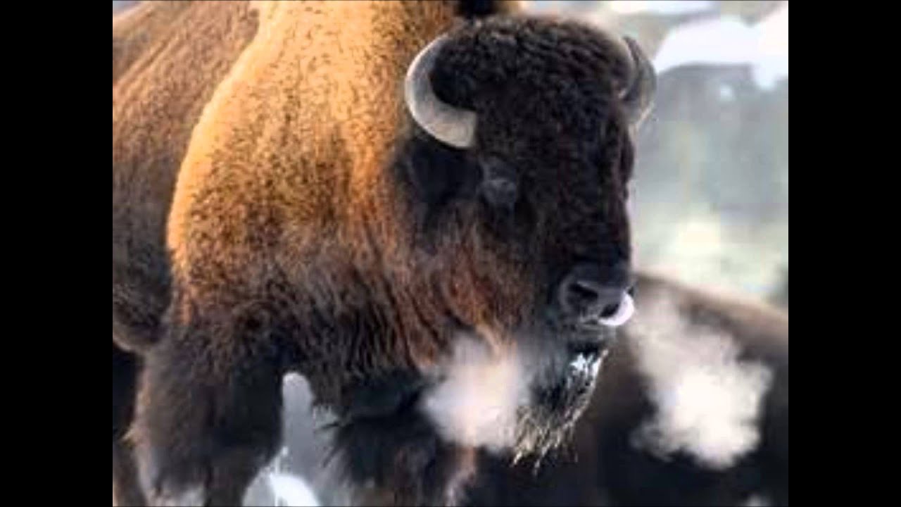 Unforgotten Faces - YouTube