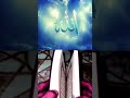 ما تستهزاش باللي هتشوفه شوفوا للاخر وتوكل على الله Funny