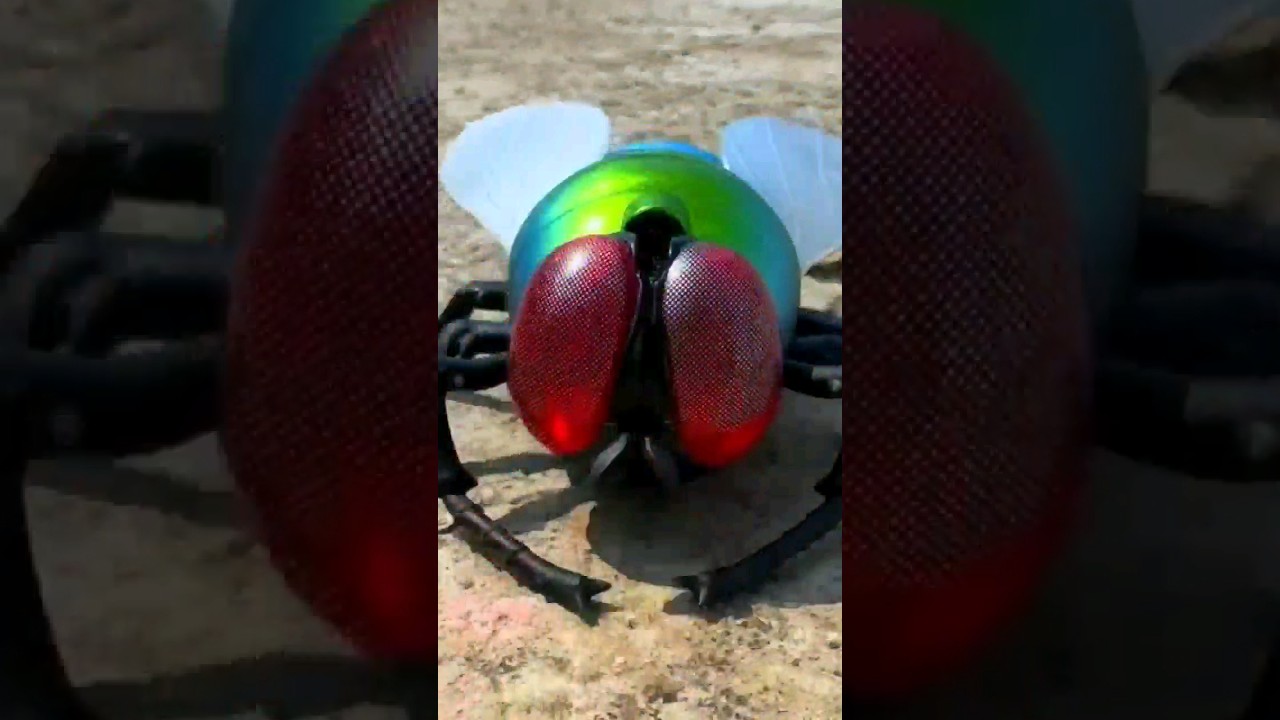 RC Remote Control Bee | 