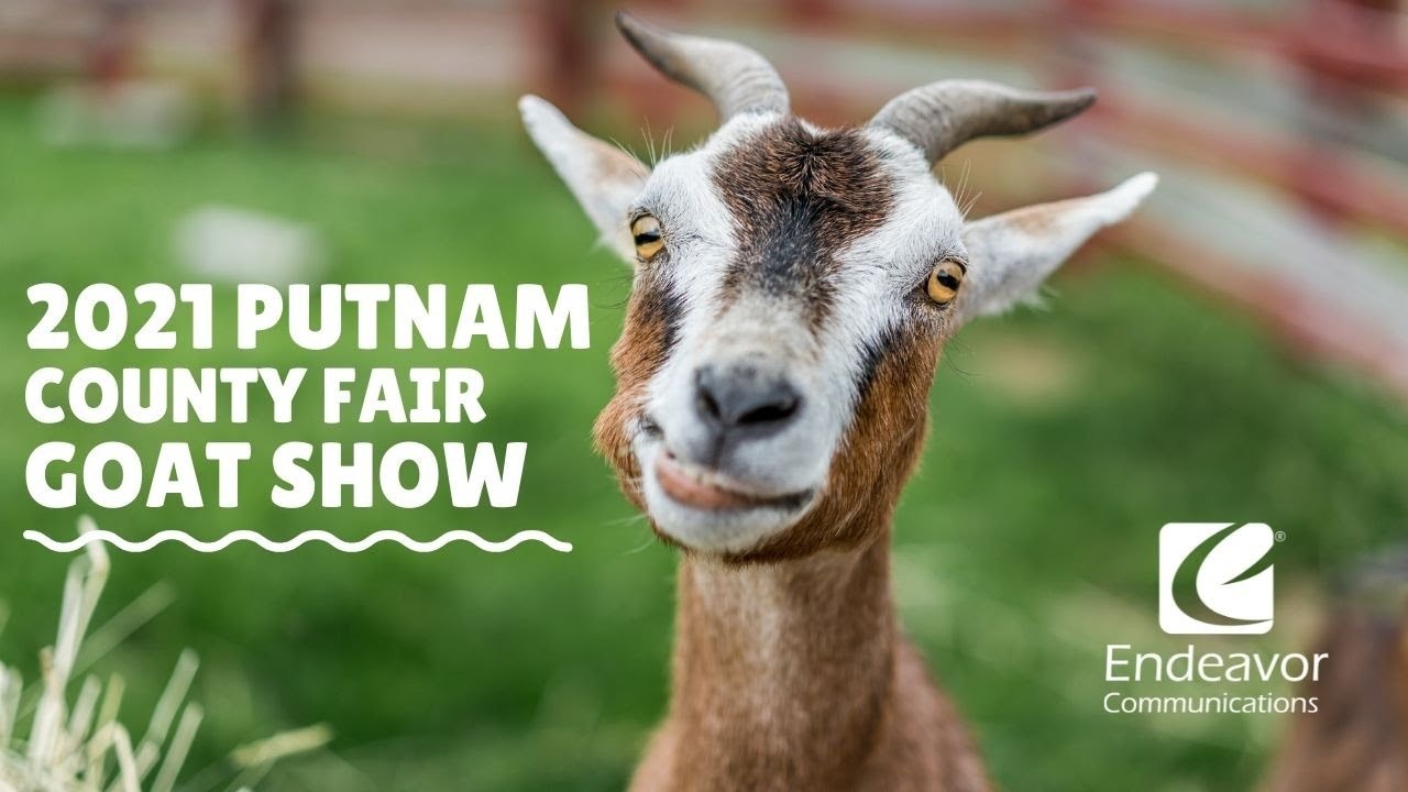 Putnam County Fair Livestream Live Stream