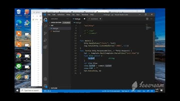 #10 Go言語のインストールから動かす所まで【実践】