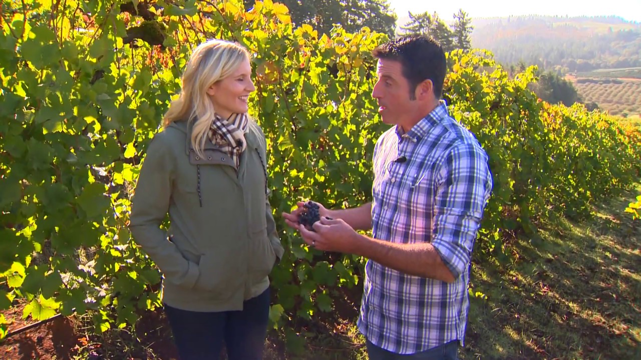 Out and About: Willamette Valley Vineyards