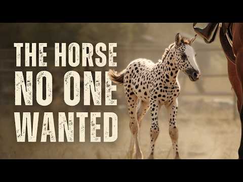 She Bought a Pregnant Mare for $100 — What She Got Was More Than a Horse!