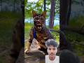 khunkhar Billi #shortvideo 📲 #viralvido 🚀 #trendingshorts ⭐😀😁