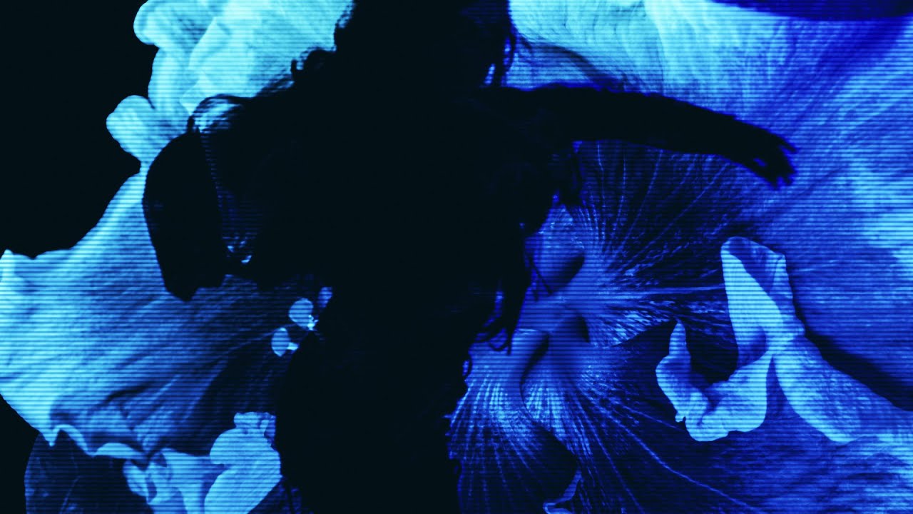 Sub J - "The Little Eukaryote That Could" [Official Music Video]