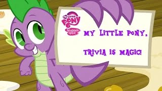 My Little Pony Trivia Is Magic Round Two