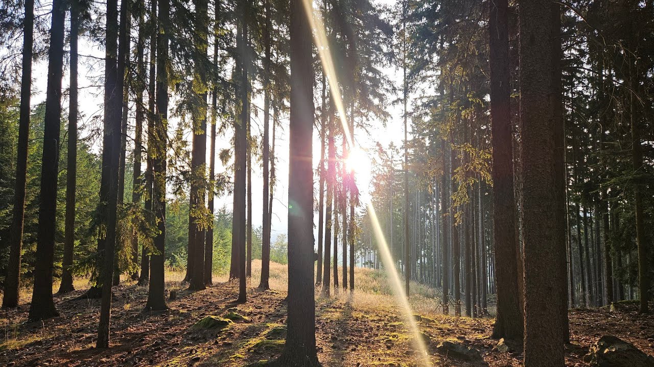 Poprve na Brdech, tridenni cundr, Plesivec, Krkavci skaly, Viklan