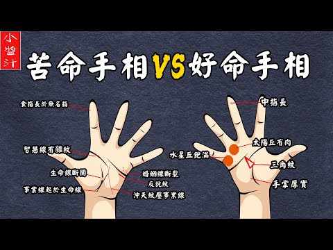 手相算命 女人命好不好 看手相特征就知道 此種手相的人一生富貴 Youtube