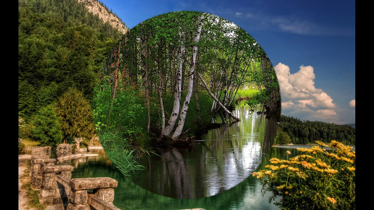 Watch Brian Hardin - Song of the Forest on YouTube Watch Brian Hardin - Song of the Forest on YouTube