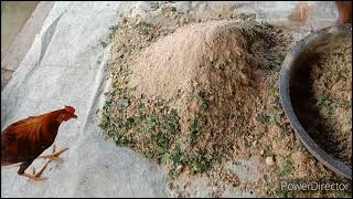 How to make Organic Feeds for Native chicken / Hog Poultry