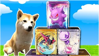 NEW POKEMON TINS MUST BE OPENED (and destroyed)