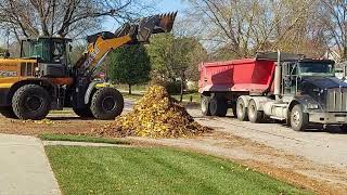 Fall leaf collection 2022, Naperville, IL USA