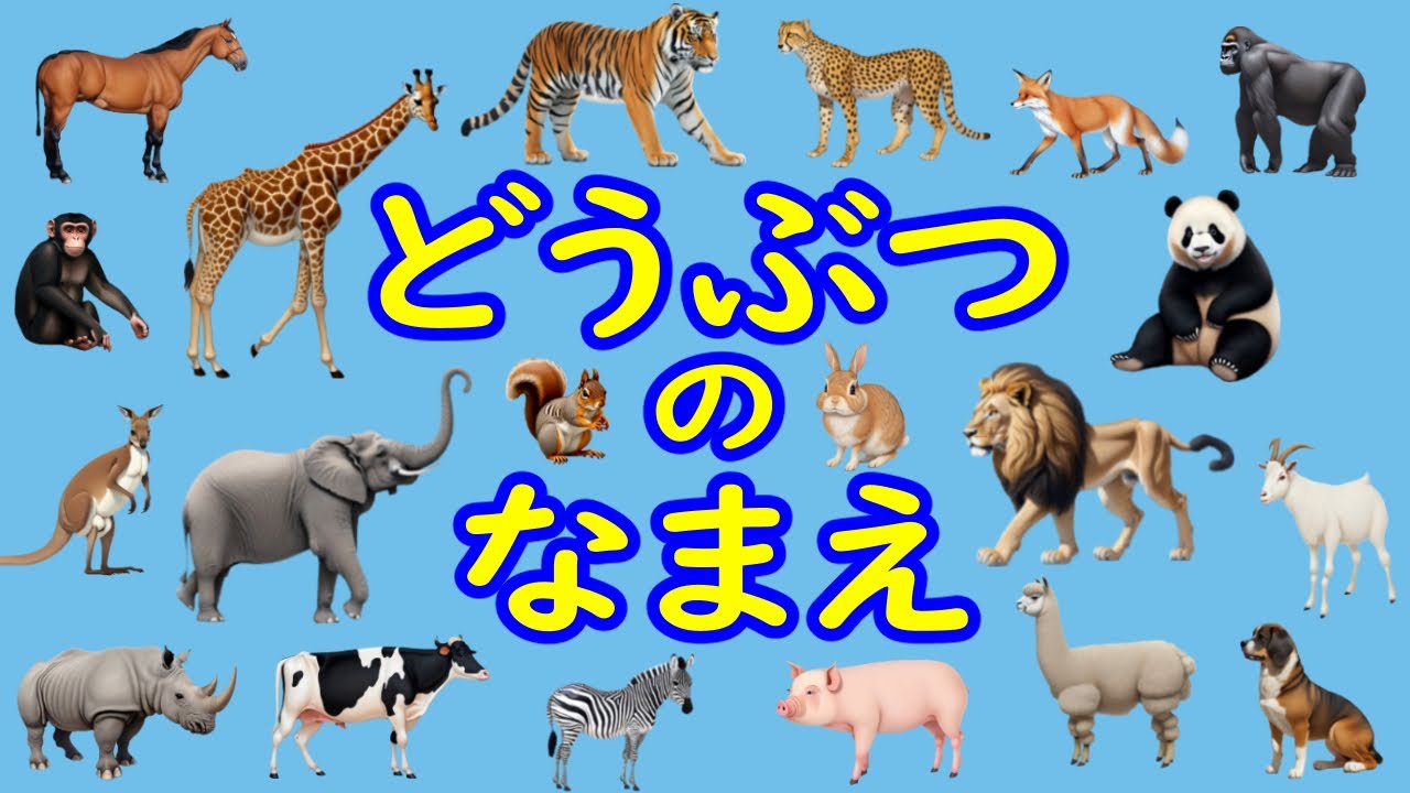 動物の名前】知育フラッシュカード たっぷり20種以上〈ゾウ・キリン 