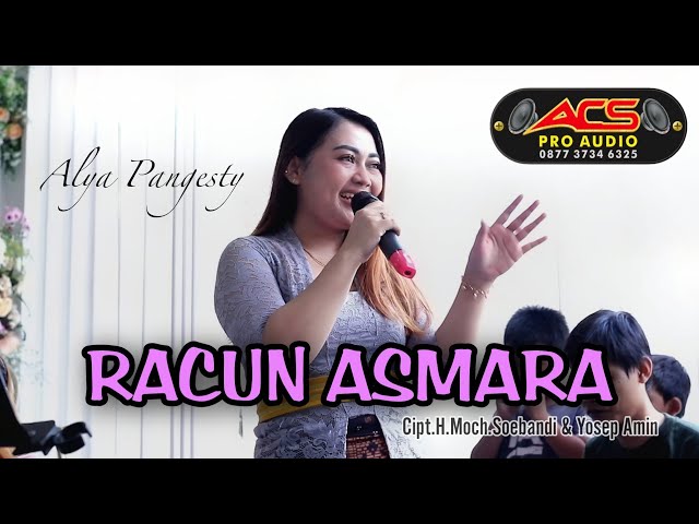 RACUN ASMARA - ALYA PANGESTY ft ACS PRO AUDIO class=