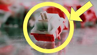 Top 5 Switches of August 2026
