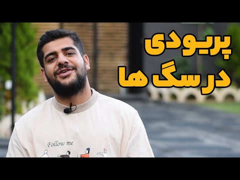 تصویری: آیا سگ ها پریود می شوند؟