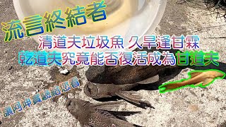 【樂園實驗室】乾道夫的白袍巫師夢