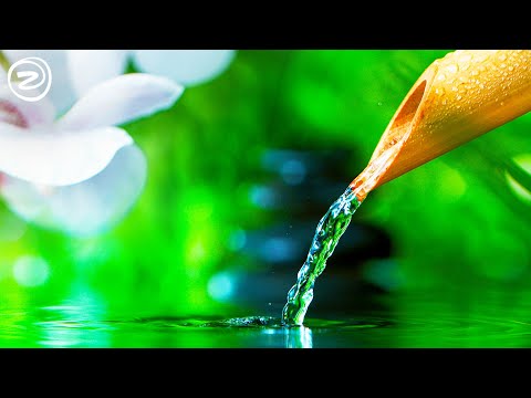 Ultimate Meditation and Relaxation Music Compilation | Royalty Free Meditation Music
