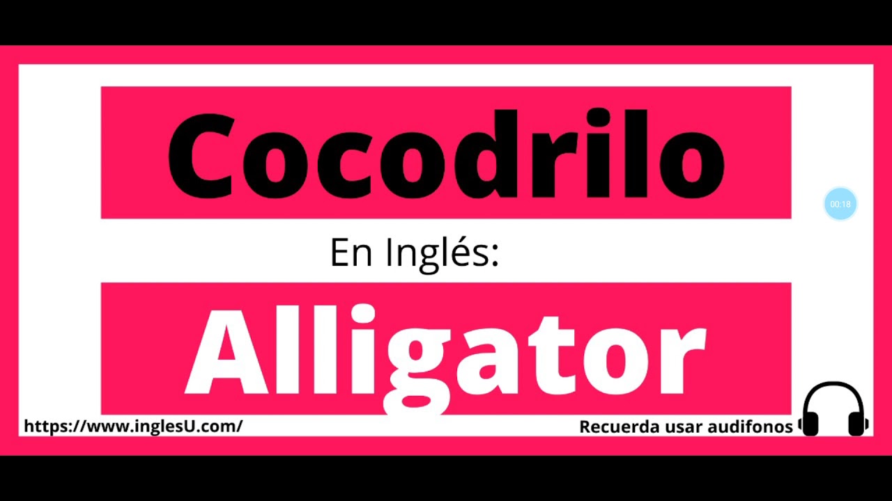 Cómo se dice cocodrilo en inglés - cocodrilo en ingles - YouTube