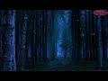 Suoni della natura per dormire - Gufo nella foresta di notte