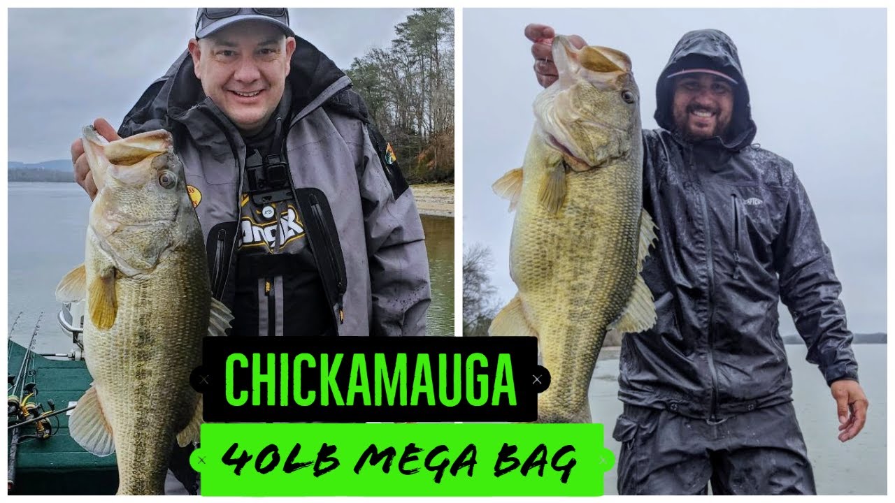 Lake Chickamauga 40lb PB MEGA Bag!!! Big shad swimbaits 