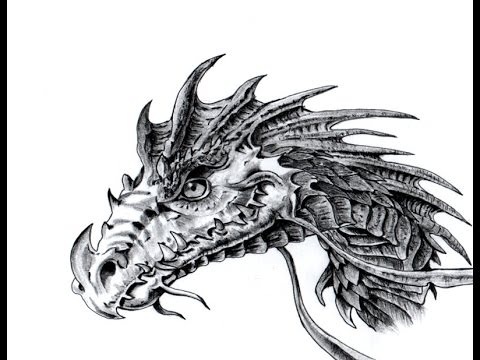 How To Draw a Dragon Head Step By Step For Beginners New ...