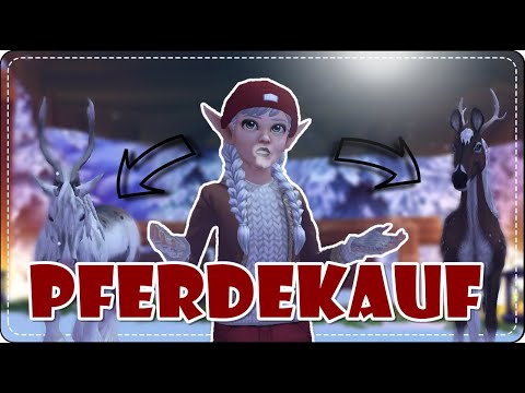 🤩 Ein NEUES Pferd zieht ein, nur welches? - Pferdekauf || SSO
