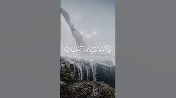 لكم دينكم ولي دين-سورة الكافرون- محمد اللحيدان.