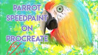 Parrot Speedpaint On ProCreate!