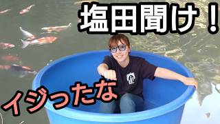 前回の件で【錦鯉女子】塩田さんに文句言います。　#錦鯉 　#アクアリウム　# 塩田養鯉場