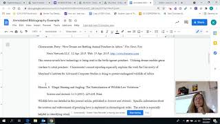Annotated Bibliography Mini Lesson 1