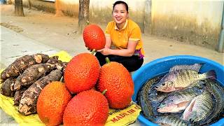 Harvesting Everything Alone Gac Fruit U0026 Fish  Market Day Village Life 