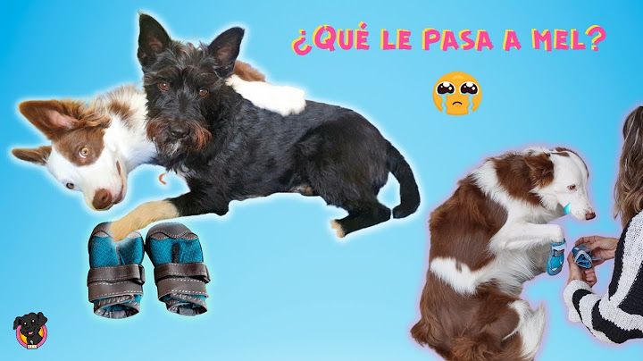 Mi Hermana está malita / Lana
