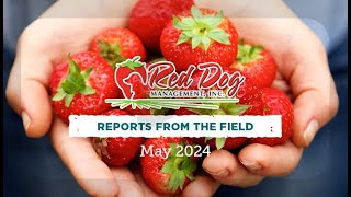 Red Dog Management "Reports from the field" - May 2024