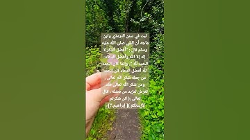 #سورة_الملك #القرآن_الكريم #حالات_اسلامية #اكسبلور