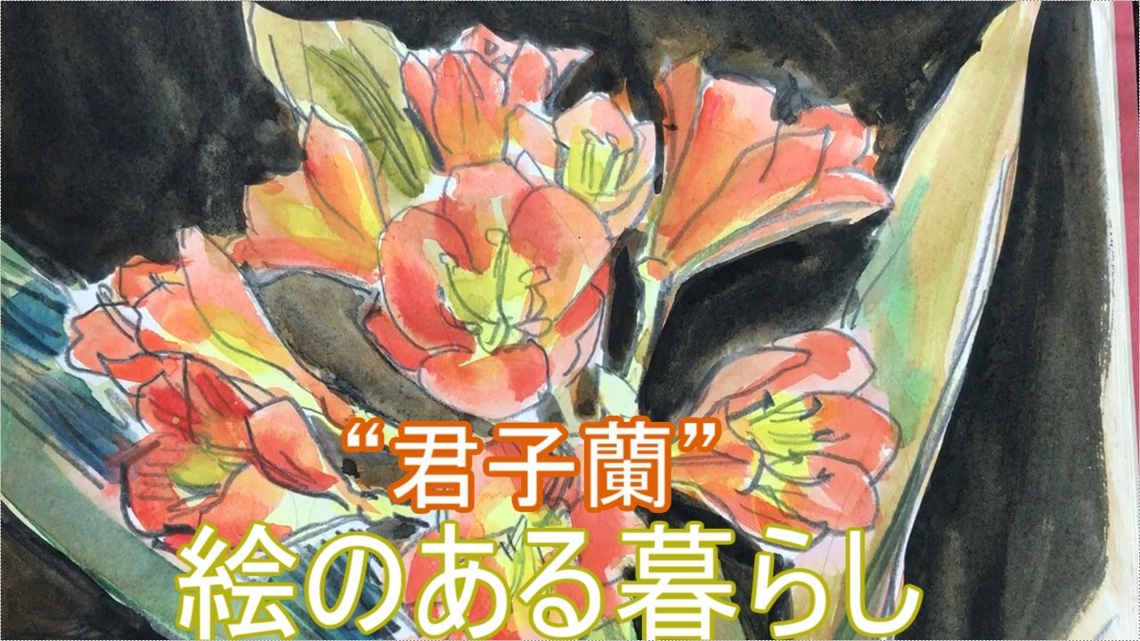 絵のある暮らし “君子蘭” ようこそわが家へ - YouTube