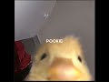 Aya Nakamura Pookie Speed Up Aya Nakamura Pookie Speed Up
