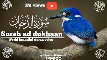 Surah ad dukhaan 🕌💛✨️✨️✨️ (سورة الدخان ) beautiful Quran voice Telawat full Quran full HDTV قرآن