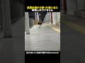 長期出張から帰った飼い主に再会したワンちゃん